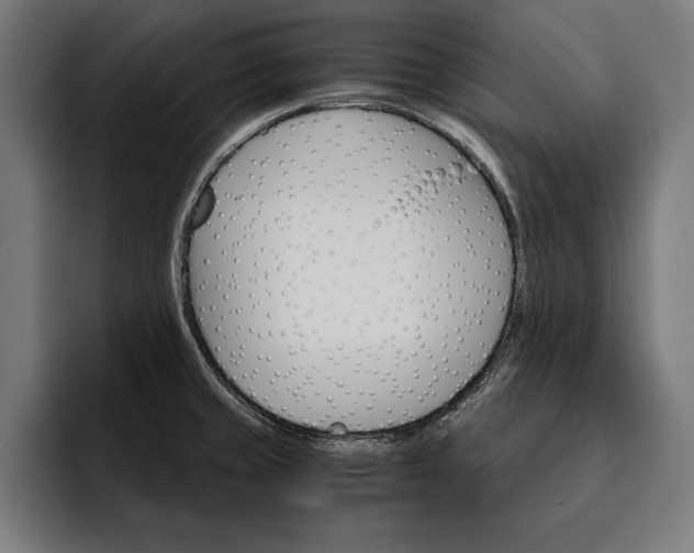 X0000093111429200710101013