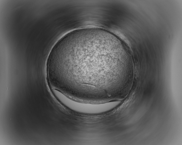 X0000093111431200710101013