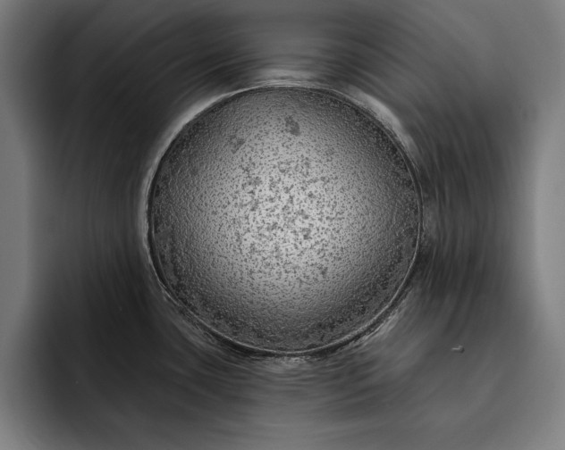 X0000093111435200710101013