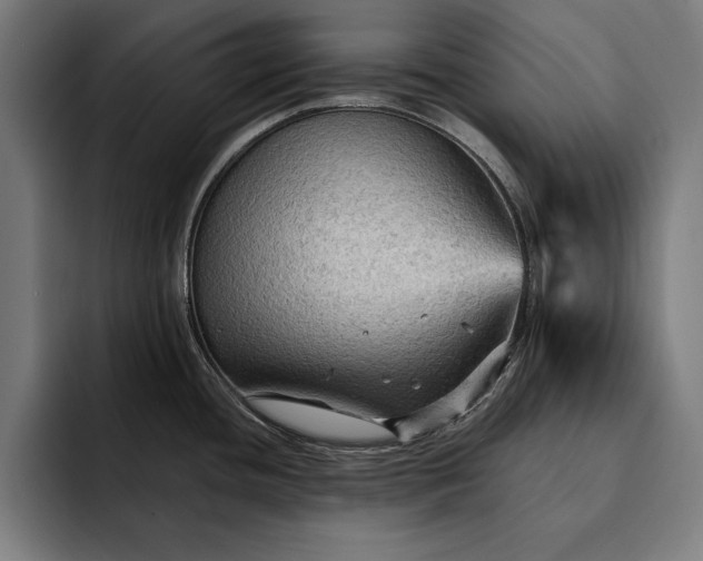 X0000093111436200710101013