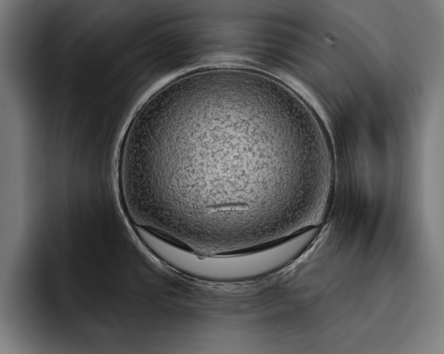 X0000093111437200710101013