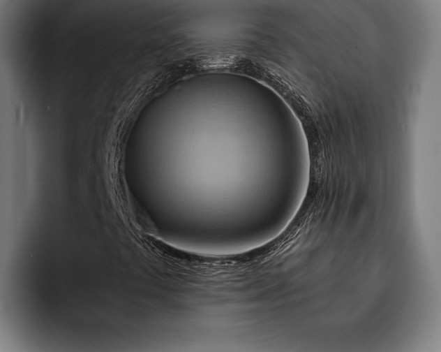 X0000093111441200710101013