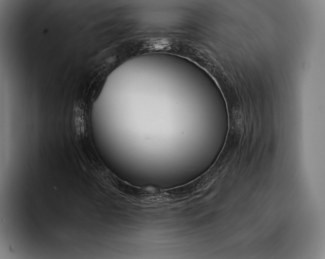 X0000093111442200710101013