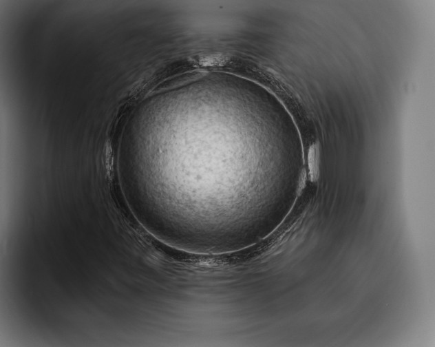 X0000093111443200710101013