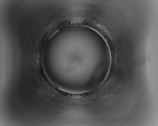 X0000093111445200710101013