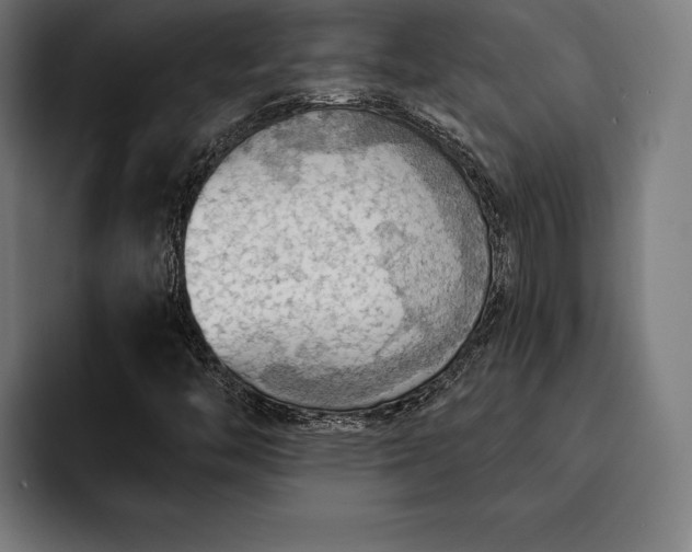 X0000093111446200710101013