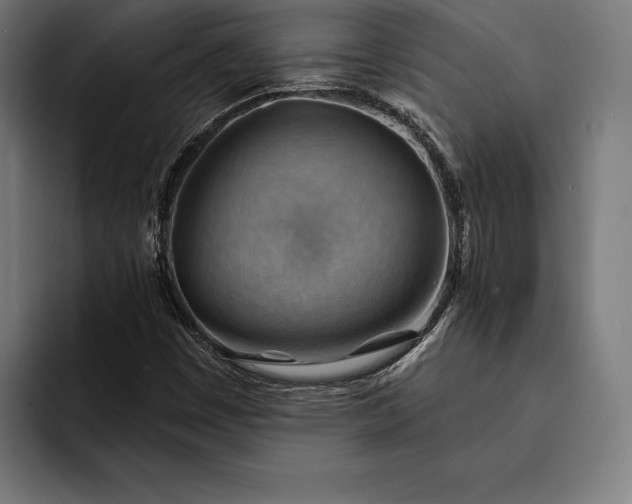 X0000093111449200710101013