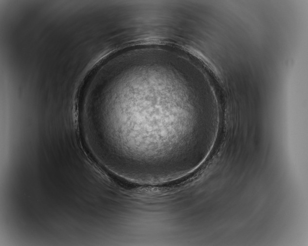 X0000093111450200710101013