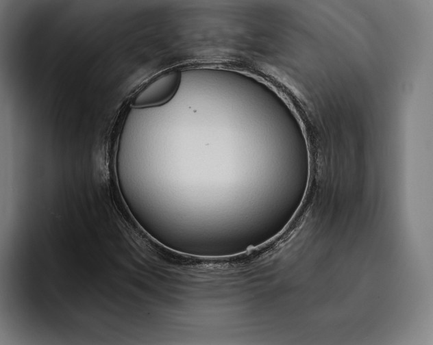 X0000093111451200710101013