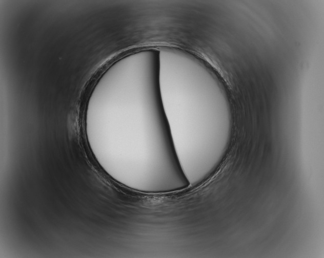 X0000093111452200710101013