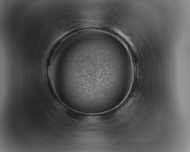 X0000093111453200710101013