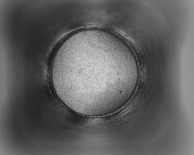 X0000093111454200710101013