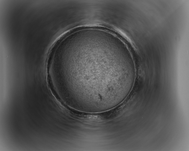 X0000093111456200710101013