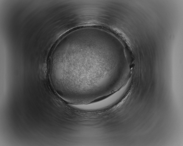 X0000093111457200710101013