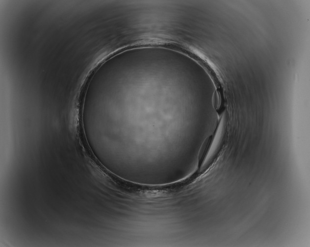 X0000093111459200710101013