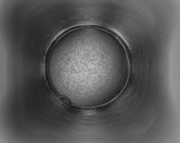 X0000093111460200710101013