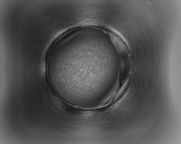 X0000093111461200710101013