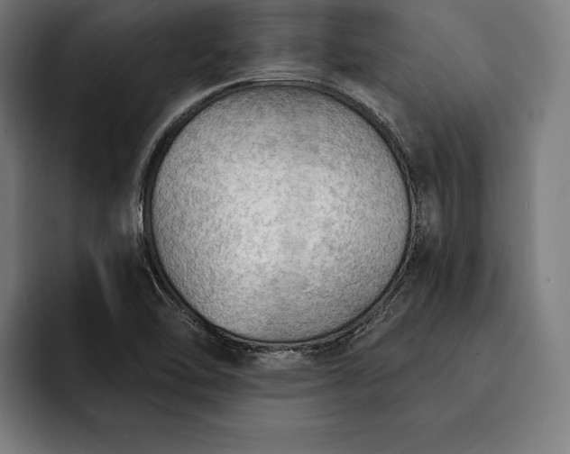 X0000093111462200710101013