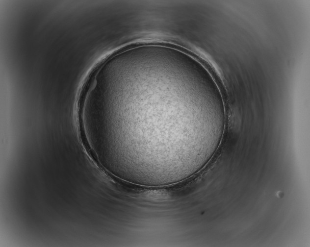 X0000093111464200710101013