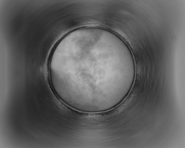 X0000093111466200710101013