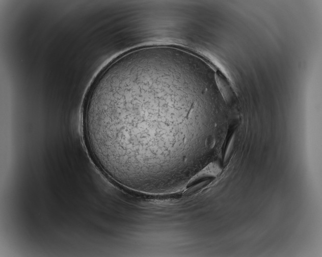 X0000093111468200710101013