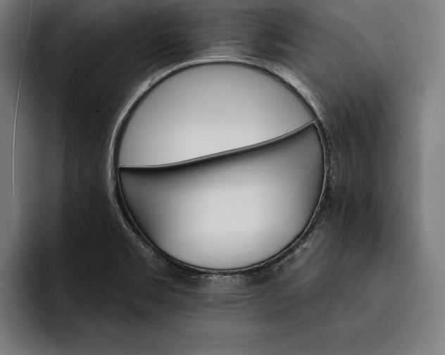 X0000093111469200710101013