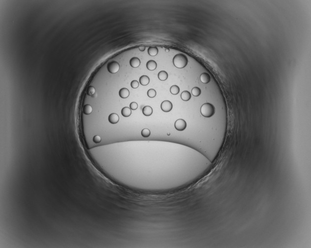 X0000093111471200710101013