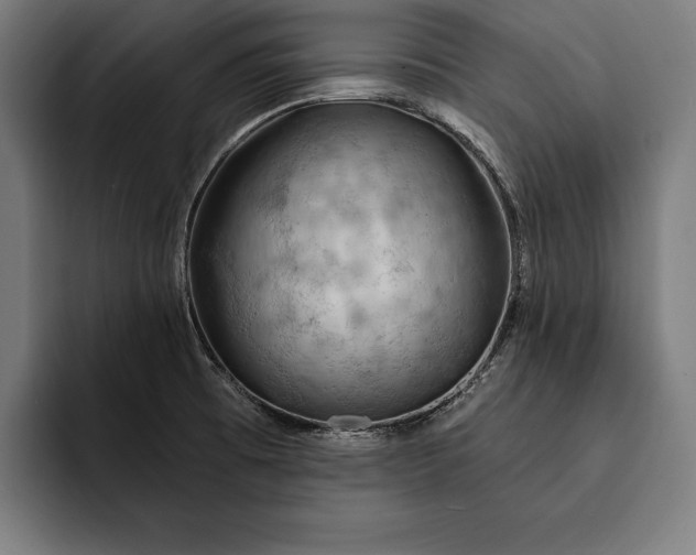 X0000093111473200710101013