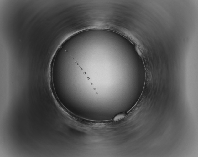 X0000093111479200710101012