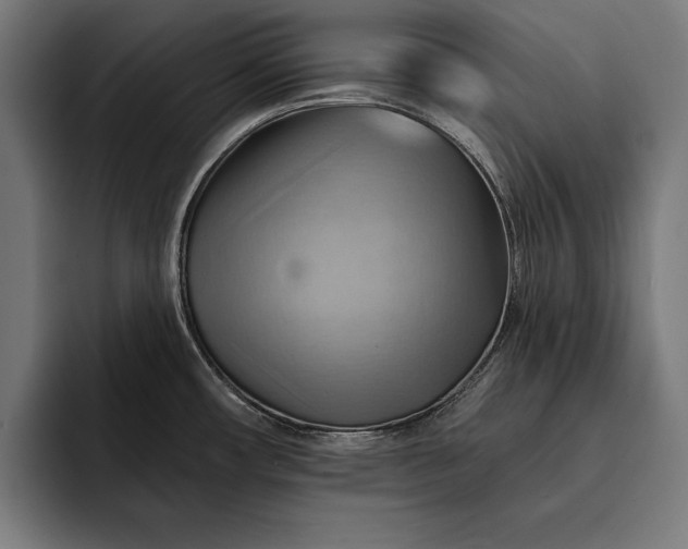 X0000093111482200710101012