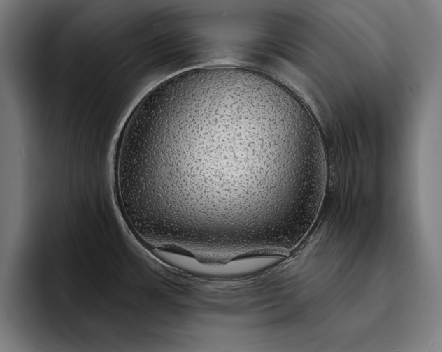 X0000093111483200710101012