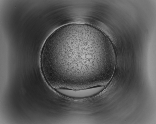 X0000093111484200710101012