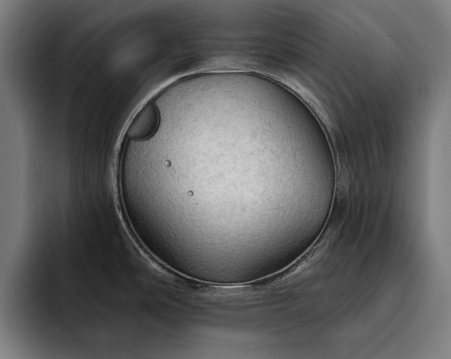 X0000093111486200710101012