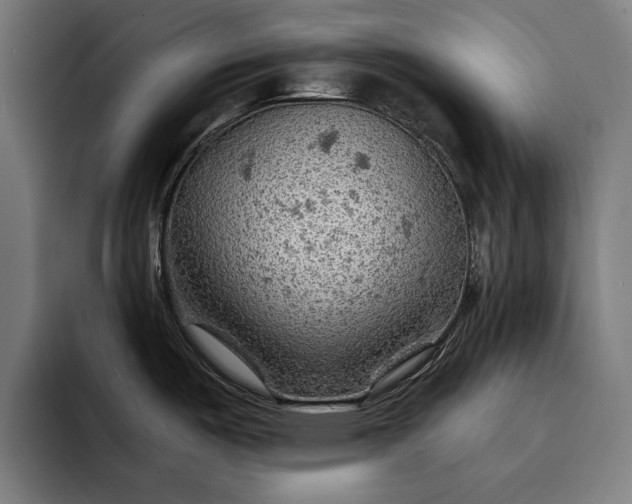 X0000093111487200710101012