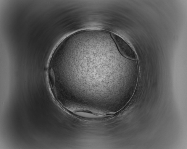 X0000093111488200710101012