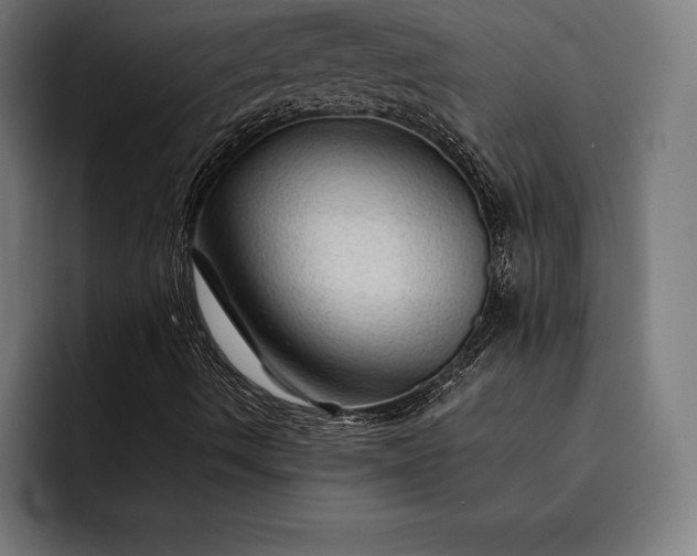 X0000093111490200710101012