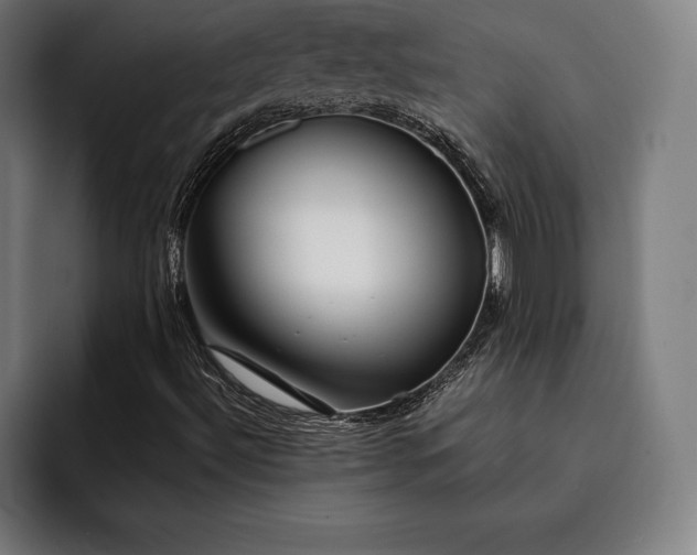 X0000093111492200710101012