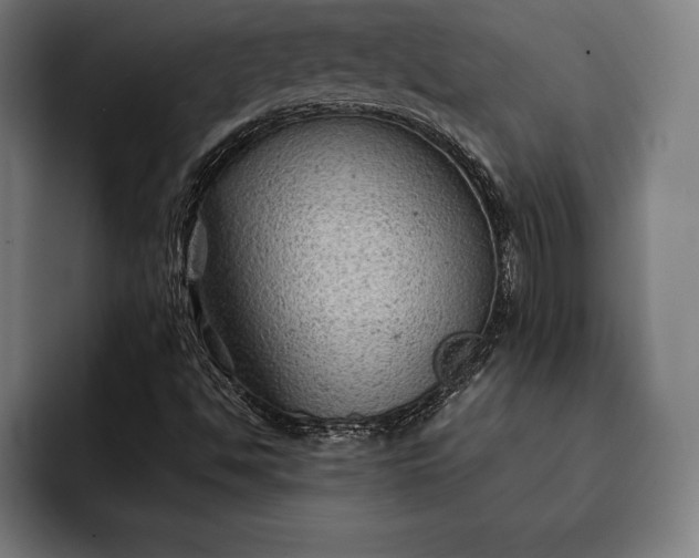 X0000093111494200710101012