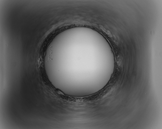 X0000093111495200710101012