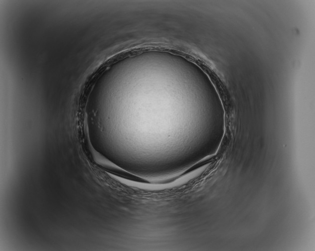 X0000093111496200710101012