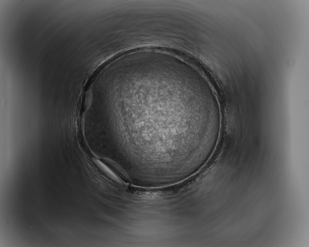 X0000093111497200710101012