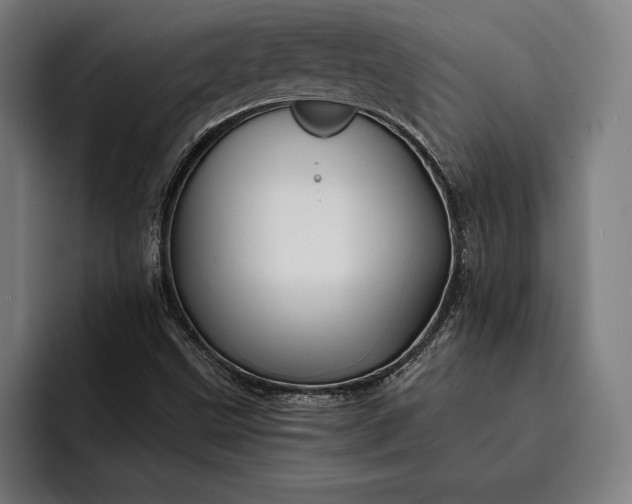 X0000093111499200710101012