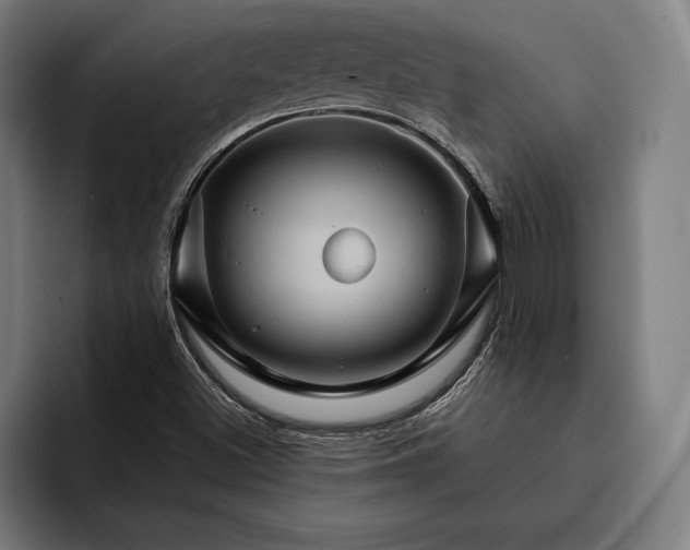 X0000093111500200710101012