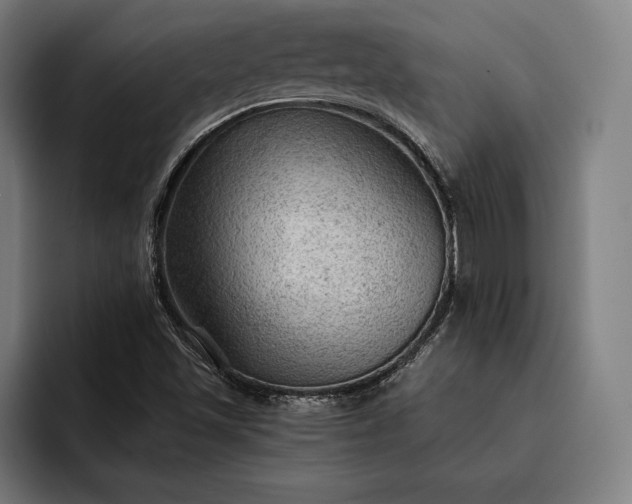 X0000093111501200710101012