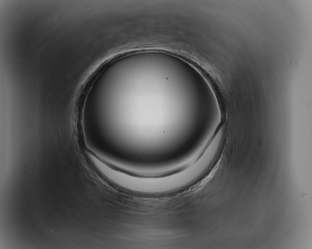 X0000093111502200710101012