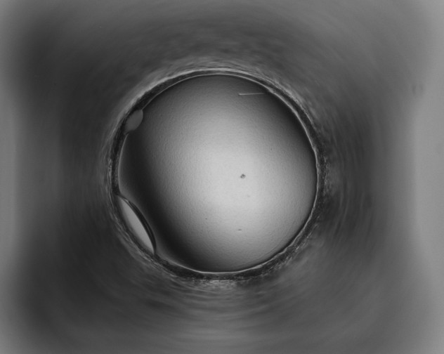 X0000093111503200710101012