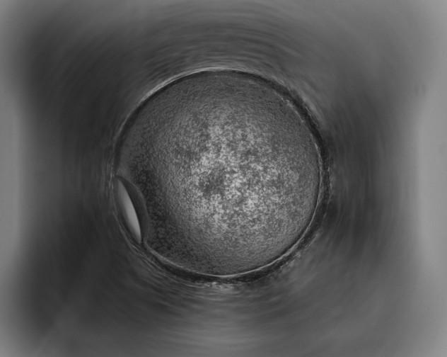 X0000093111505200710101012