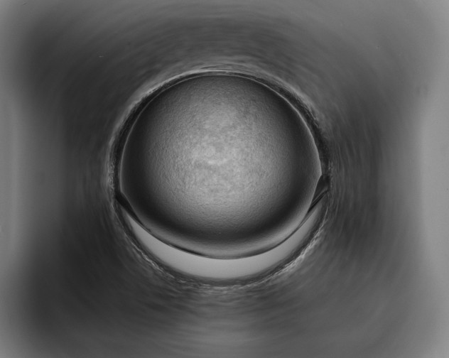 X0000093111506200710101012