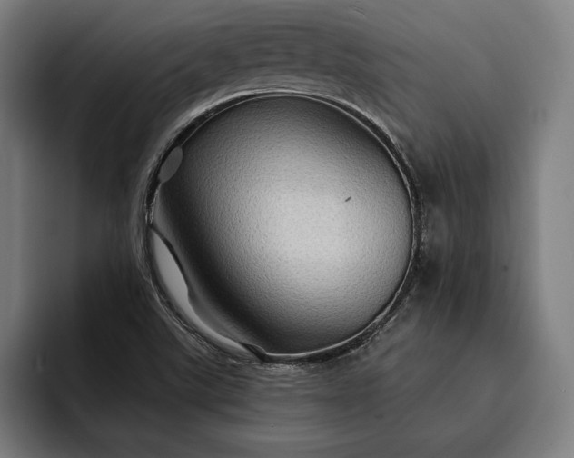 X0000093111507200710101012