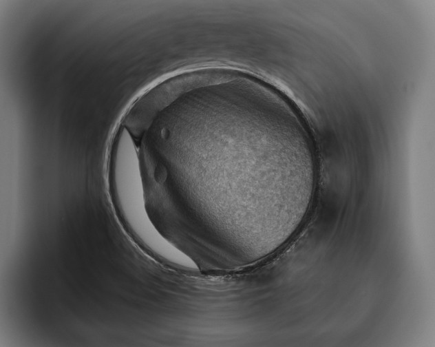 X0000093111508200710101012